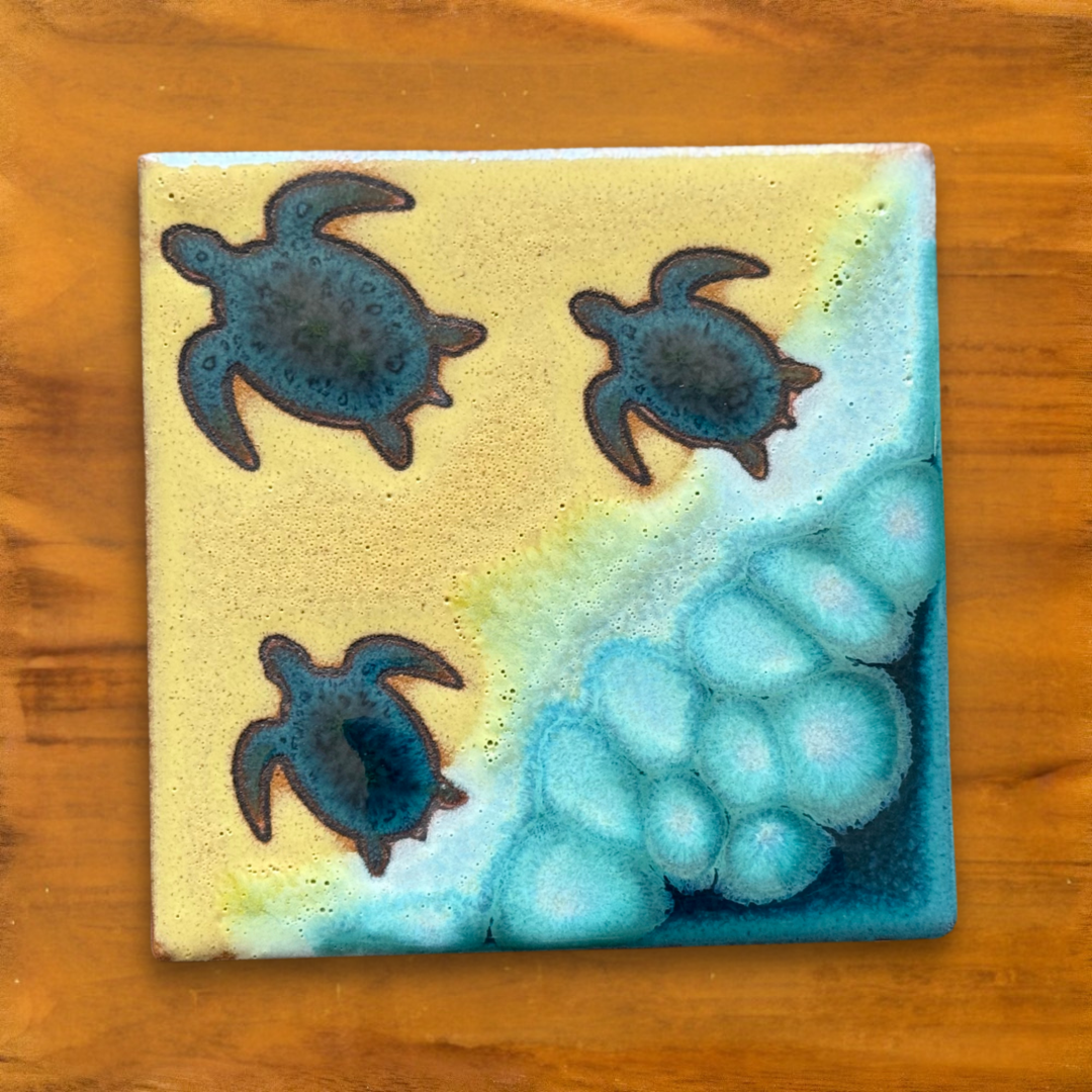 Coastal Coasters - Individual or Set of 4 - Starfish, Sand Dollar, Sea Turtles, Seagulls