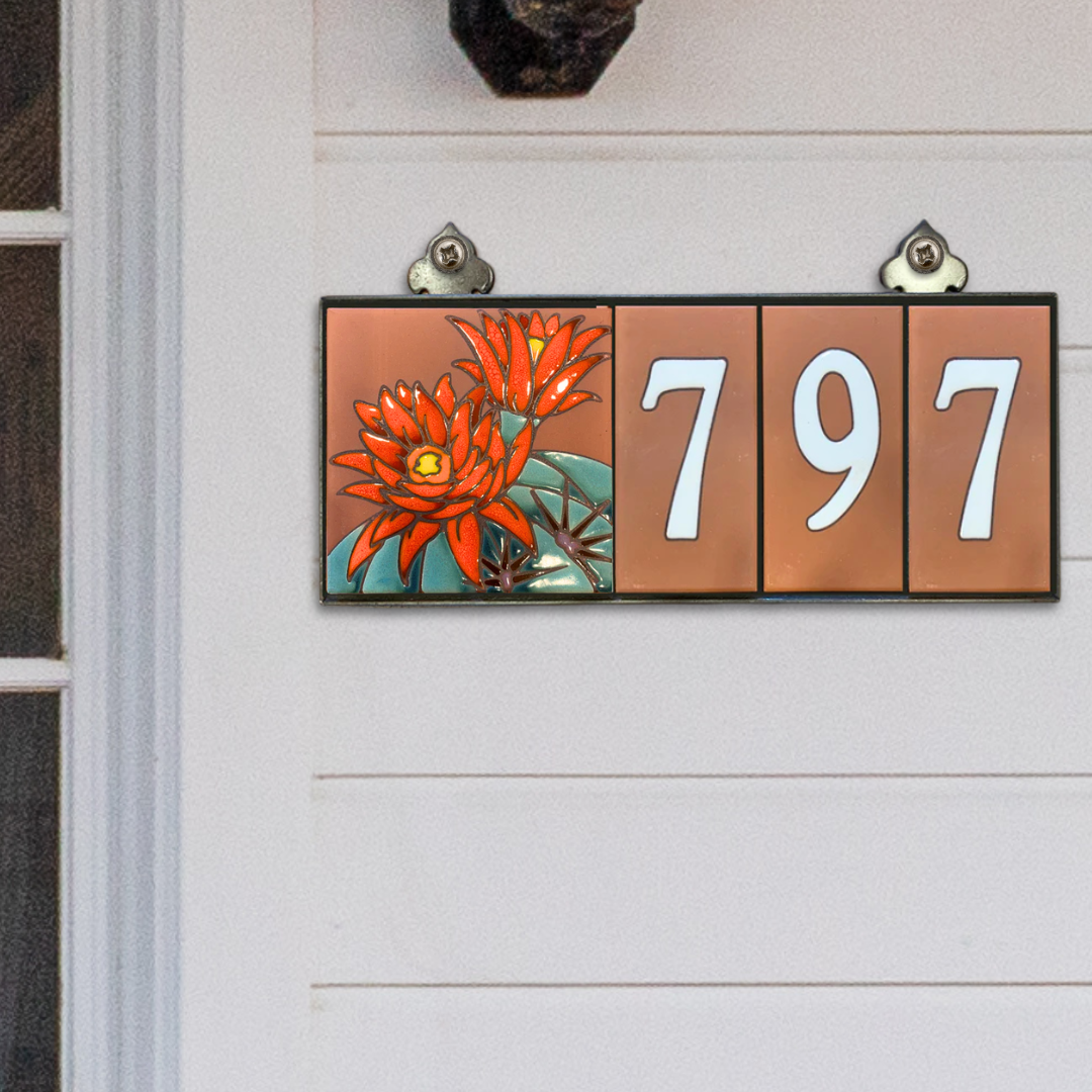 Choose your design: Tile House Numbers with Cactus, Butterfly or Hummingbird design, Terra Cotta Background and White Numbers
