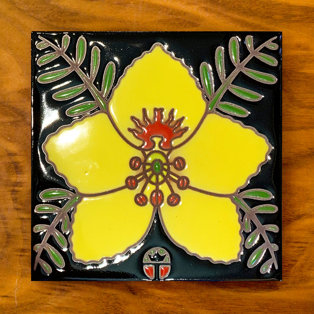 Palo Verde