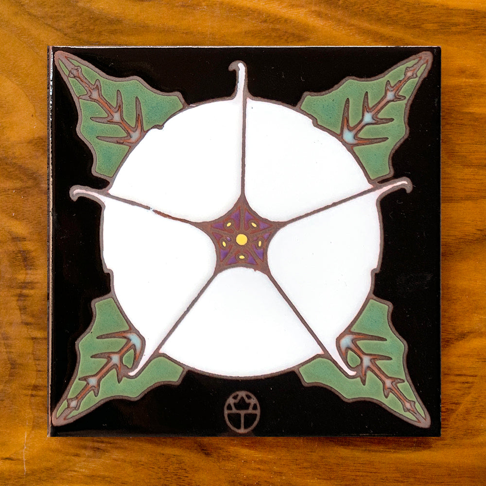 Datura