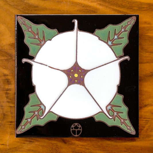 Datura