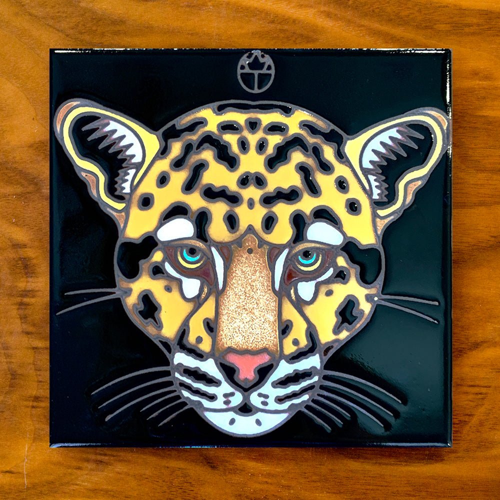 Jaguar on Black