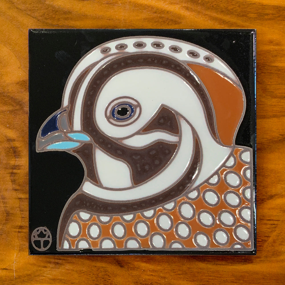 Montezuma Quail