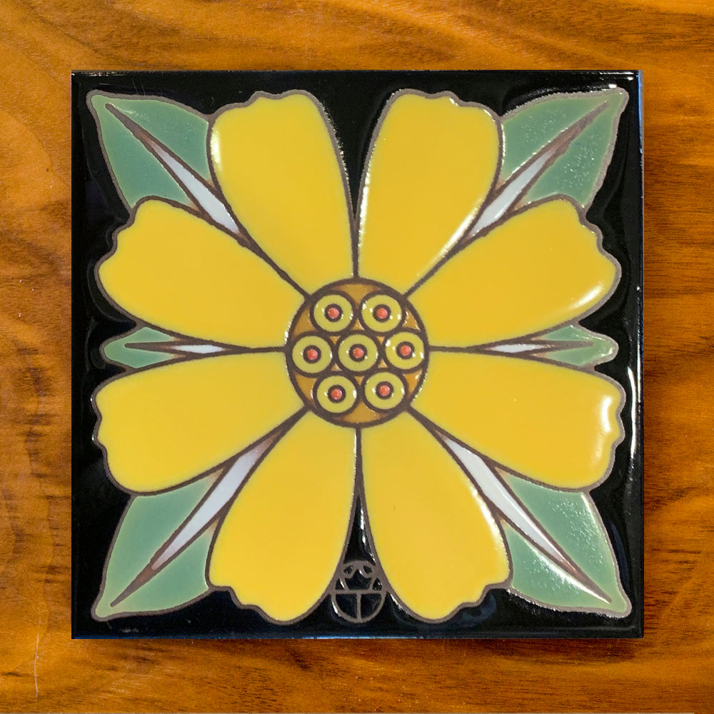 Brittlebush