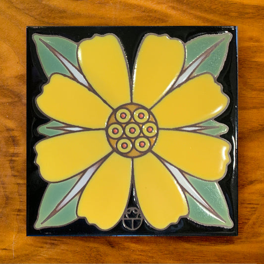 Brittlebush