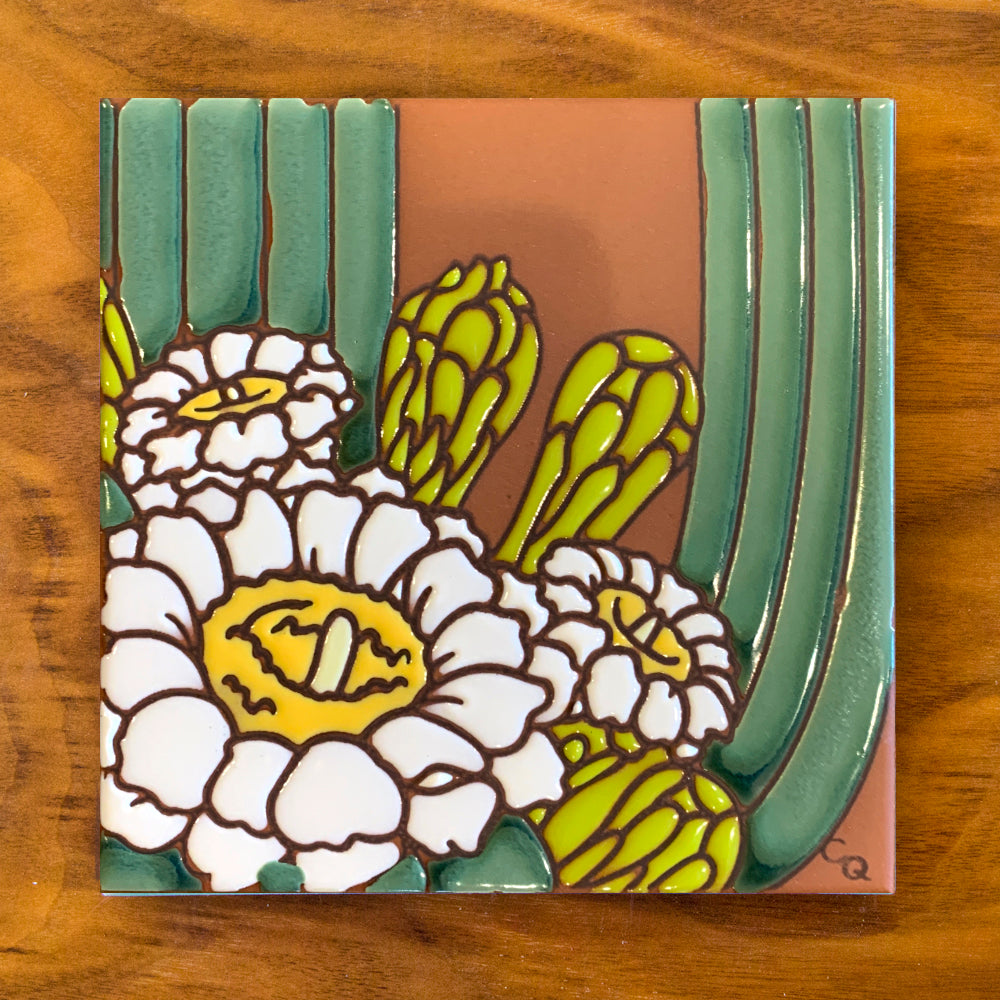 Saguaro Cactus Bloom
