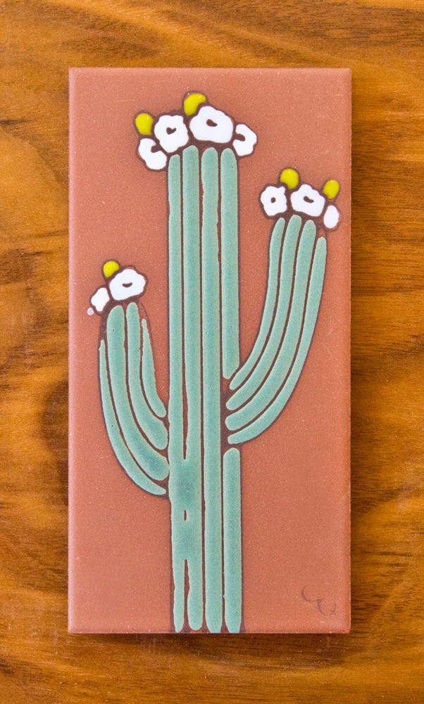 Plain Individual 3x6 Number Tiles on Terra Cotta