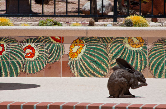 Barrel Cactus Mural