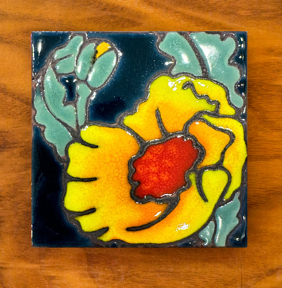 4”x4” Desert Flora Coaster: Poppy