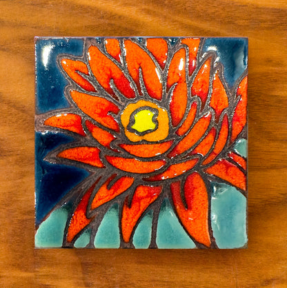 4”x4” Desert Flora Coaster: Hedgehog Cactus