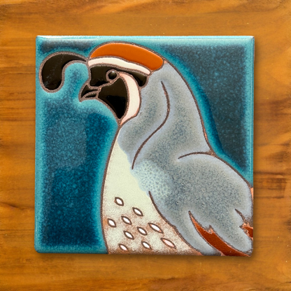 Desert Bird Coasters - Individual or Set of 4 - Cactus Wren, Quail, Owl, Raven