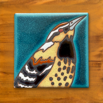 Desert Bird Coasters - Individual or Set of 4 - Cactus Wren, Quail, Owl, Raven