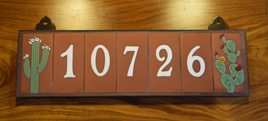 Framed House Number Set with Cactus End Caps, Terra Cotta Background, and White Numbers