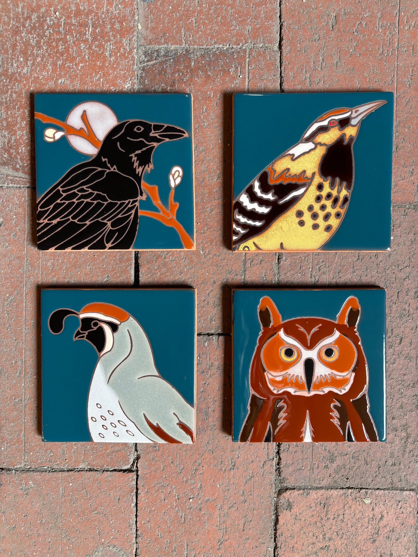 Desert Bird Coasters - Individual or Set of 4 - Cactus Wren, Quail, Owl, Raven