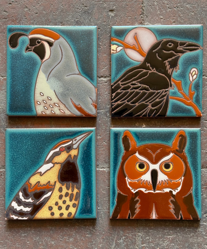 desert bird coasters