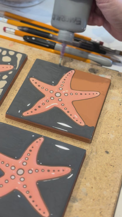 Coastal Coasters - Individual or Set of 4 - Starfish, Sand Dollar, Sea Turtles, Seagulls