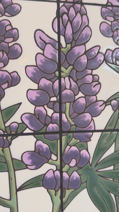 Desert Lupine and Poppies 12x24 on White