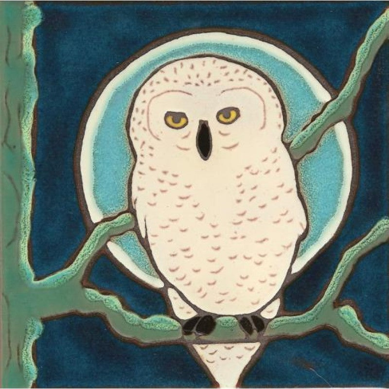 Snowy Owl, Pacific Blue Collection