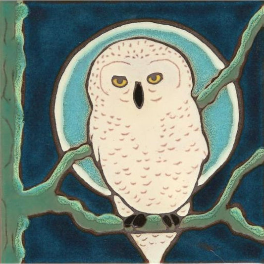 Snowy Owl, Pacific Blue Collection