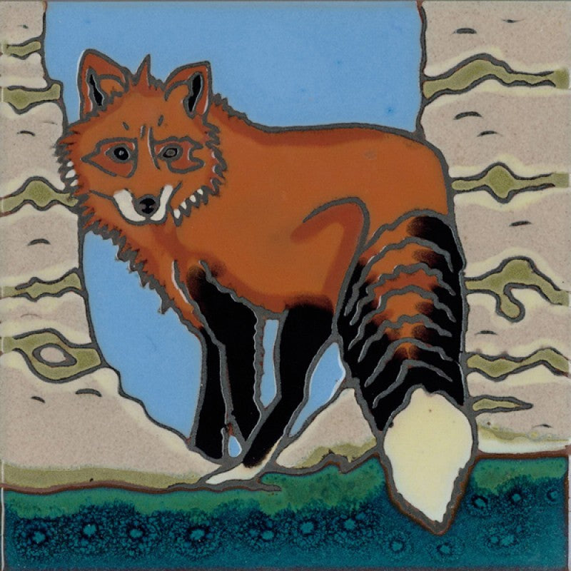 Red Fox, Pacific Blue Collection