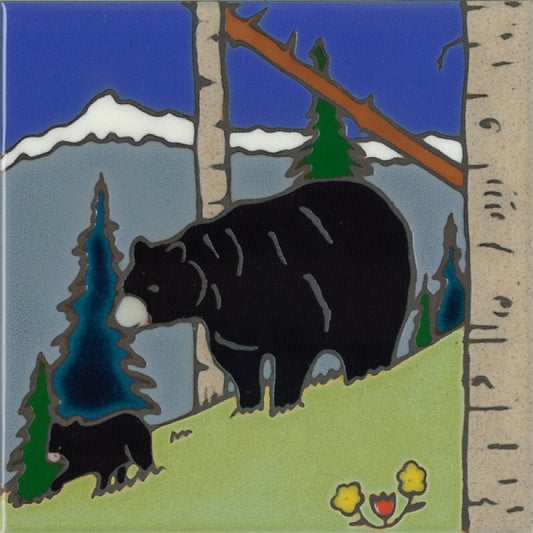 Black Bear, Pacific Blue Collection