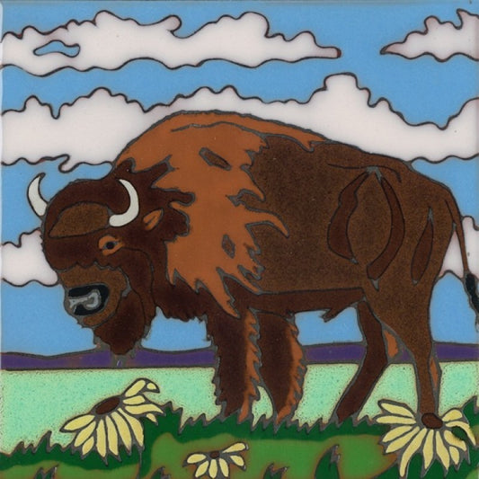 Buffalo, Pacific Blue Collection