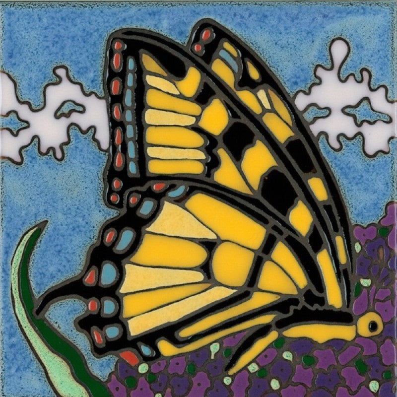 Swallowtail Butterfly, Pacific Blue Collection